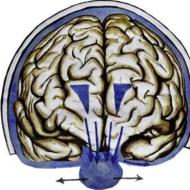 Interpretação da ultrassonografia Ventrículos laterais da cisterna magna cerebral